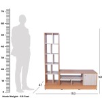 TTS TV Stand 05