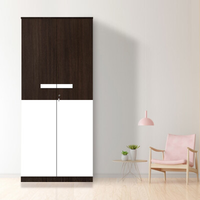 Engineering Wood 2 Door Wardrobe in Brown Teak & White