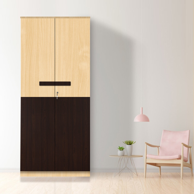 Engineering Wood 2 Door Wardrobe in Ice Beech & Choco Walnut
