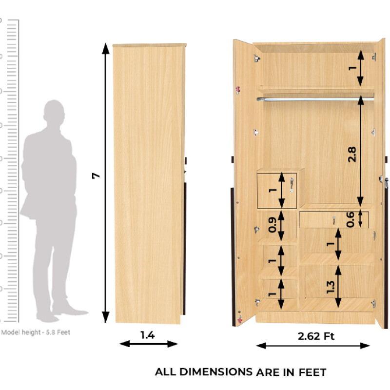 Engineering Wood 2 Door Wardrobe in Ice Beech & Choco Walnut