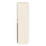 Engineering Wood 2 Door Wardrobe in Hiland Pine & Choco Walnut