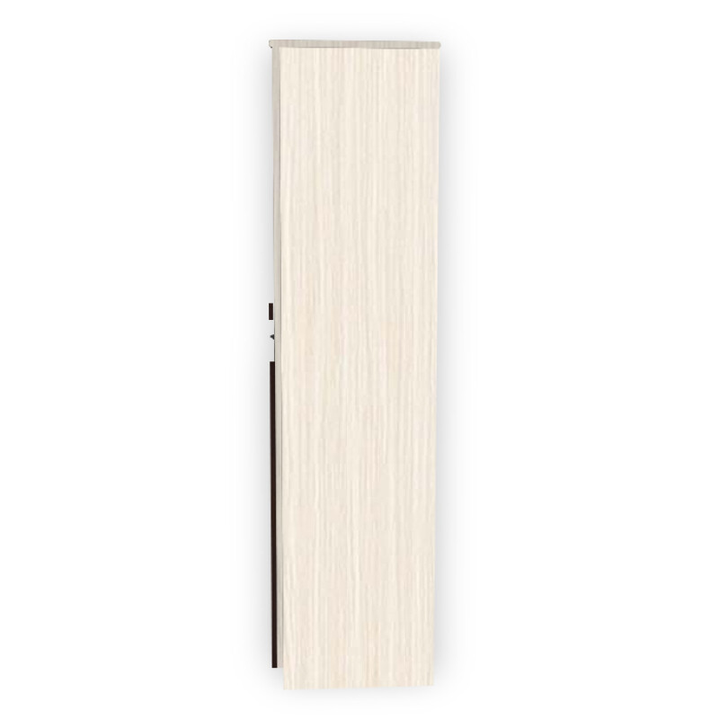 Engineering Wood 2 Door Wardrobe in Hiland Pine & Choco Walnut