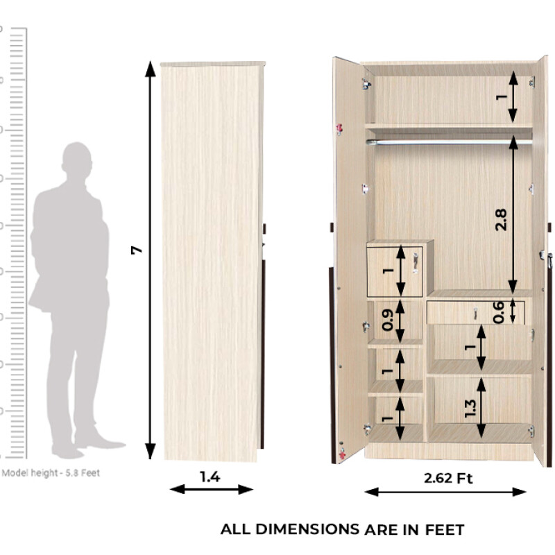 Engineering Wood 2 Door Wardrobe in Hiland Pine & Choco Walnut