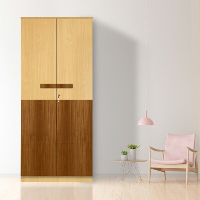 Engineering Wood 2 Door Wardrobe in Mysore Teak & Bavarian Beech
