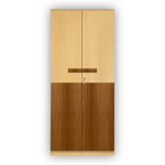 Engineering Wood 2 Door Wardrobe in Mysore Teak & Bavarian Beech