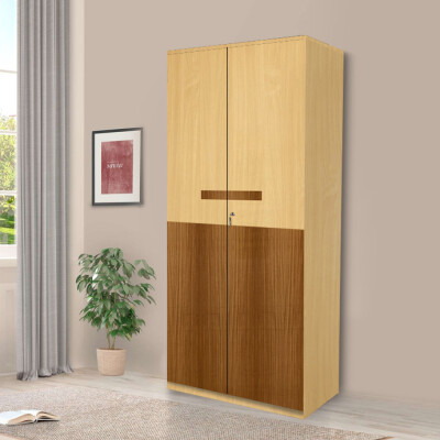 Engineering Wood 2 Door Wardrobe in Mysore Teak & Bavarian Beech