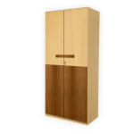 Engineering Wood 2 Door Wardrobe in Mysore Teak & Bavarian Beech
