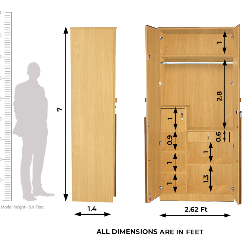 Engineering Wood 2 Door Wardrobe in Mysore Teak & Bavarian Beech